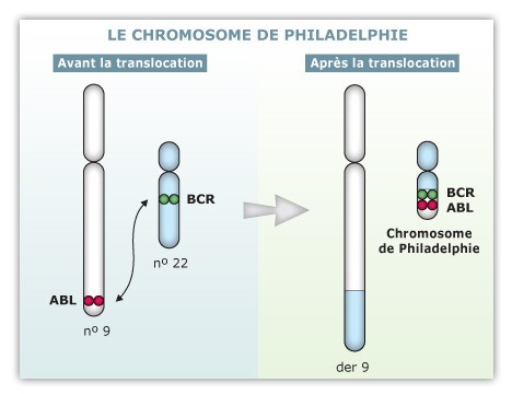 chromosome de philadelphie